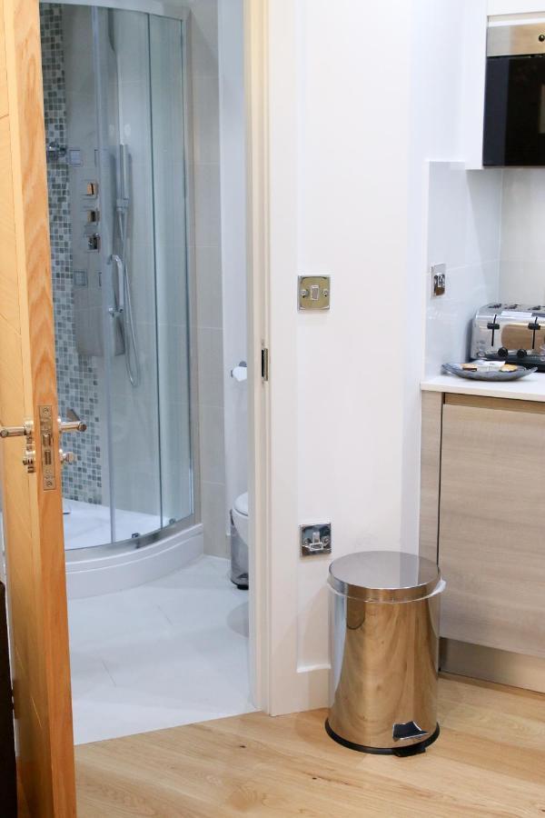 Executive Bright And Airy Studio Apartment In Sydenham London Ngoại thất bức ảnh